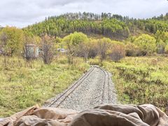 -莫尔道嘎国家森林公园