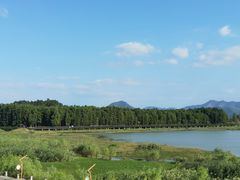 -青山湖景区