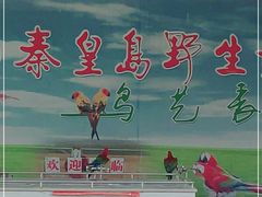 -秦皇岛野生动物园