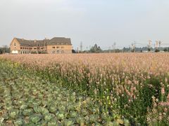 -中国天府农业博览园