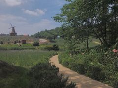 -大塘金香草谷