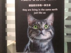 -瑞派雷欧宠物医院·中兽医·眼科·急重症转诊中心(黄台店)