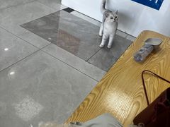-中农大我爱我爱动物医院·核磁CT·猫病·24小时夜诊中心(石佛营店)