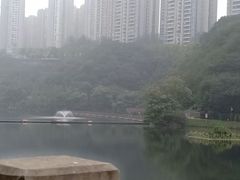 -重庆彩云湖湿地公园