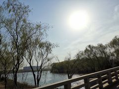 -大兴滨河森林公园