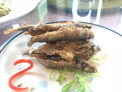 -红樽舫湖州菜.湖景餐厅(太湖渔人码头店)