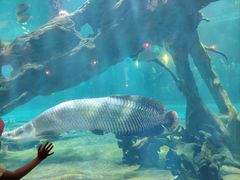 -华夏文旅海洋公园