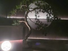 -大拙里·精致融合菜(沙湖桃源国际店)