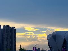 -杭州奥体中心-体育场