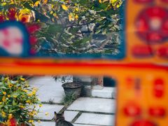 -创艺无限·赵春香微妙艺术馆