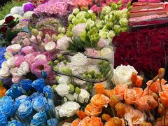 -双季花艺园艺市场(浦东店)