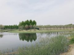 -东郊湿地公园