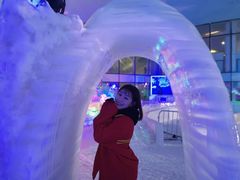 -世界之窗阿尔卑斯冰雪世界