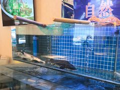 -同喜烤鸭店(光芒店)