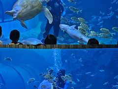 -左海海底世界