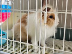 -小意思咖啡店(草桥店)