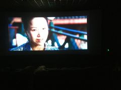 -百美汇影城(LUXE嘉里中心店)