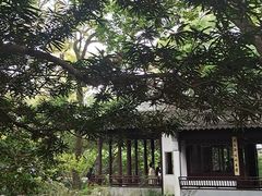 -秋霞圃