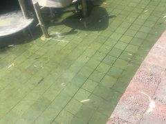 -南宫温泉水世界