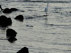 -情侣路