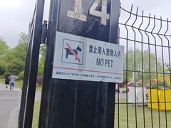 -九科绿洲