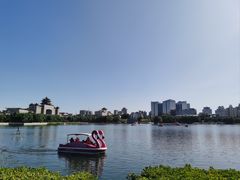 -莲花池公园