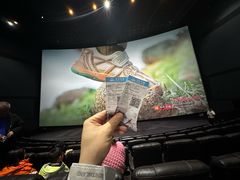 -万达影城(贵阳观山湖万达IMAX店)