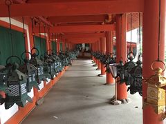-奈良公园