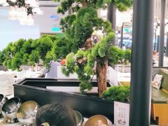-洪氏嗨捞·猪肚鸡火锅(阳光天地店)