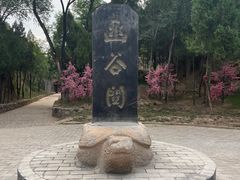 -函谷关历史文化旅游区