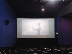 -幸福蓝海国际影城(上海三林店)