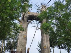 -西青郊野公园
