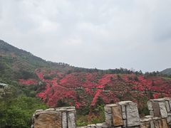 -木兰云雾山