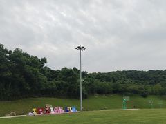 -羊山湖公园