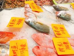 -骆驼阿三饭店(迪赛邻里店)