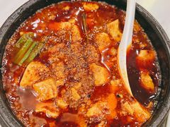 金牌麻辣豆腐-陈麻婆豆腐总店