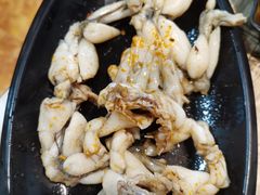 美蛙-销魂美蛙鱼头火锅(上海首店)