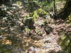 -牛背梁国家森林公园