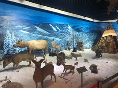 -呼伦贝尔民族博物馆