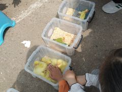 -中环花鸟鱼虫市场