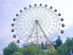 -白洋淀风景区