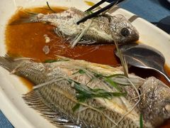 -闽海肴(北辰荟店)