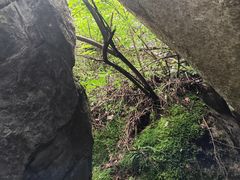 -秦岭终南山世界地质公园翠华山景区