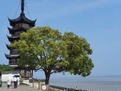 -观潮胜地公园