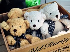 -济州岛泰迪熊博物馆