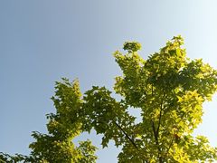 -钟山体育运动公园