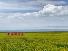 -青海湖国家重点风景名胜区