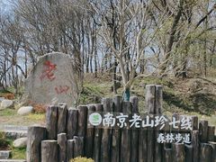 -老山国家森林公园