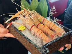 -一緒に寿喜烧放题(世纪汇店)