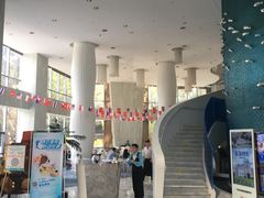 -深圳东部华侨城瀑布酒店